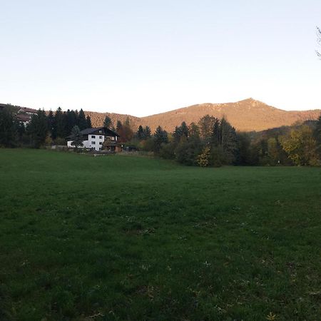Ferienwohnung Traummichel Lam Exteriér fotografie